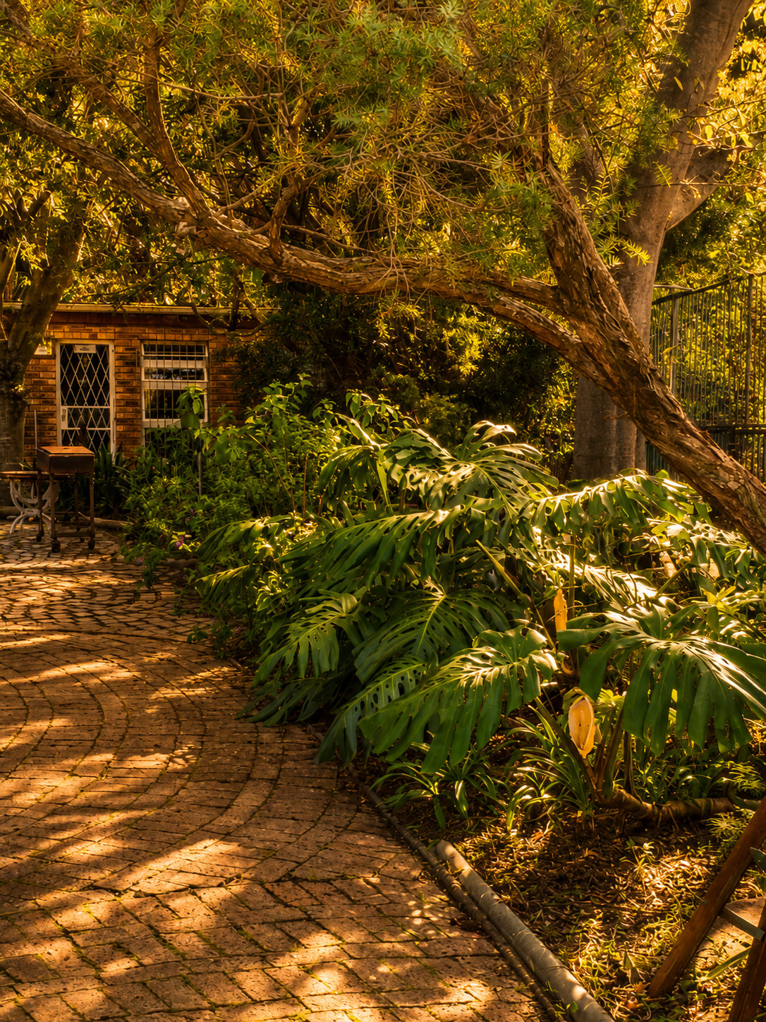 Leafy garden pathway leading to the private garden flats at Protea Guesthouse in Durbanville